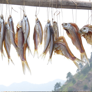 補鈣多吃海藻和小魚